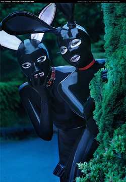Image #181515 (fetish): bunny, latex
