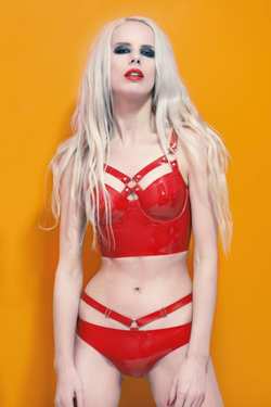 Image #254942 (fetish): latex