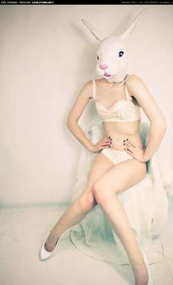 Image #38407 (fetish): bunny, latex