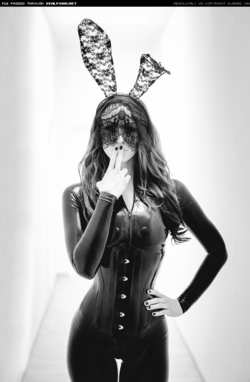 Image #114249 (fetish): bunny, latex