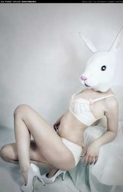 Image #38419 (fetish): bunny, latex