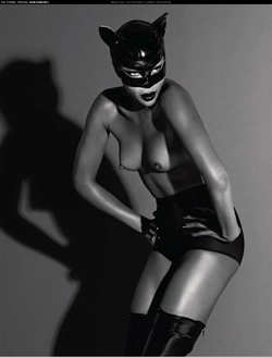 Image #117812 (titties): catwoman, tits