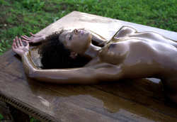 Image #286209 (titties): oiled, tits